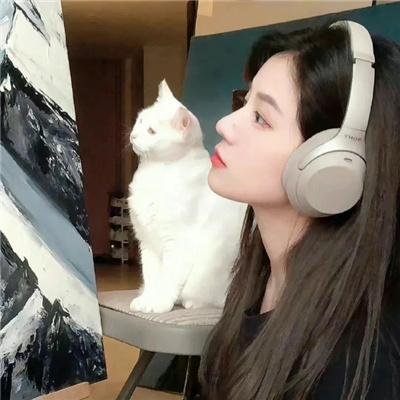 瓦尔哈拉的邂逅