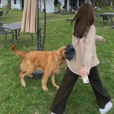灵魂至灵魂